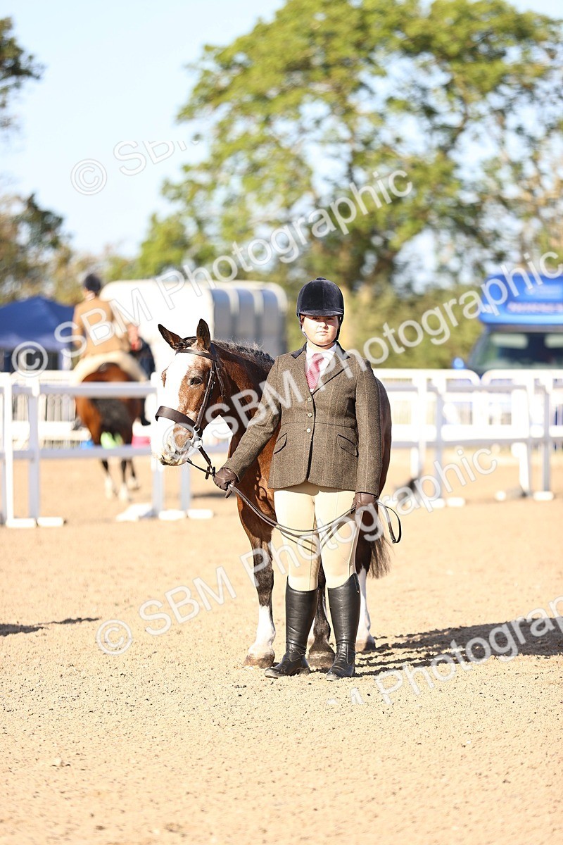 SBM_08435 - Class 402 - IH Veteran Pony