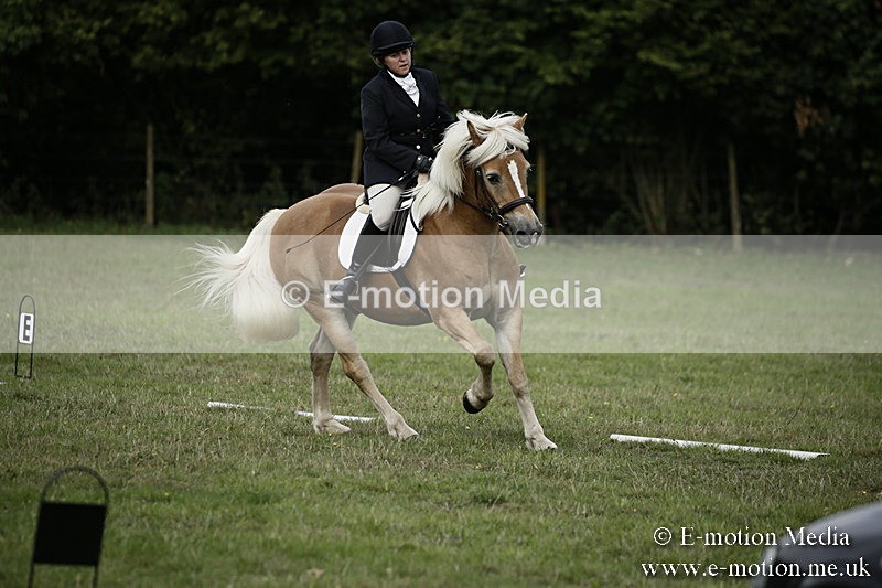 BVR090918 63 - BVRC Dressage and Show Jumping 09/09/18