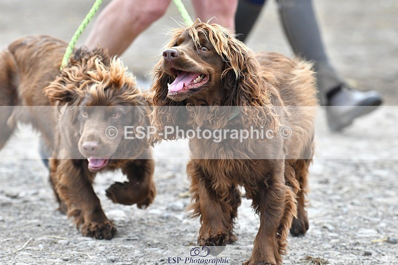 230817-123635-02791 - Stable Shots