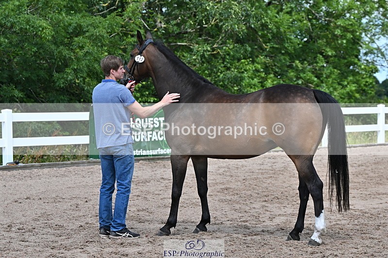 240718A-105246-01127 - Trot Up 12pm to 1pm