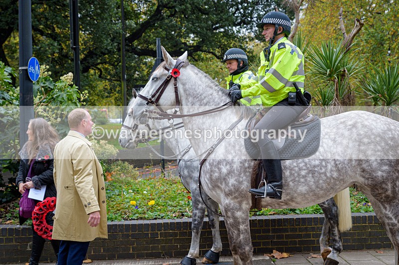 NGP_8184 - 2024 Animals in War Remembrance Gathering