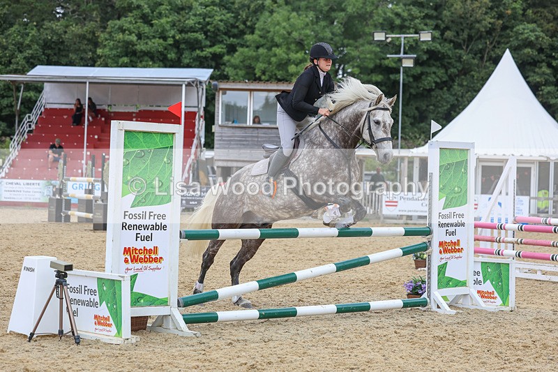 3E7A4677 - Class 4: Senior British Novice/90cm open