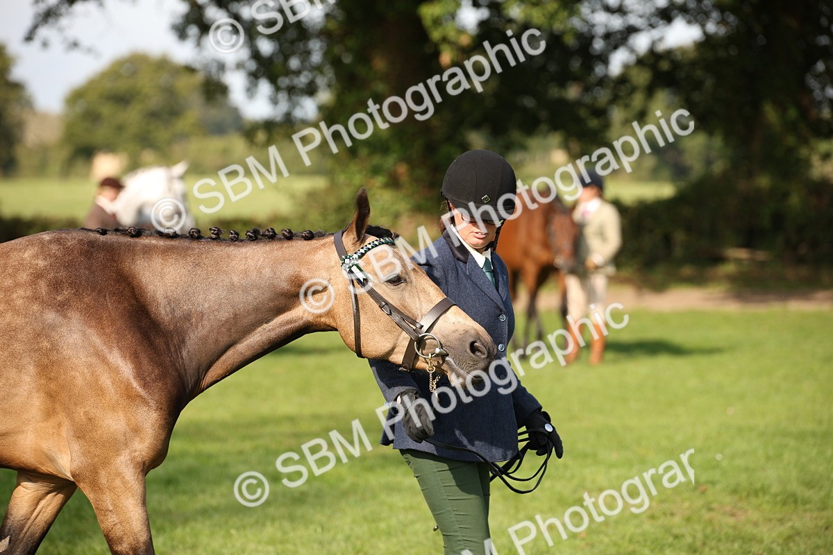 SBM_60122 - S53 - Hunter In Hand