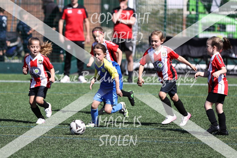 1DX33303 - Sat 13th U7 & U8 Girls