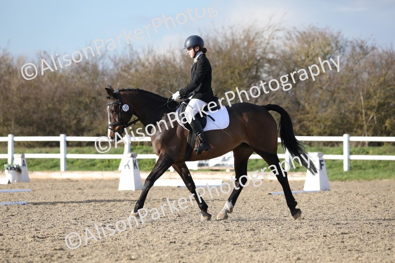 20260314-5944 - DR9 - PYO