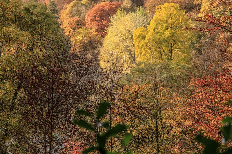 Stourhead gardens during autumn_007 - Wiltshire landscape Photography