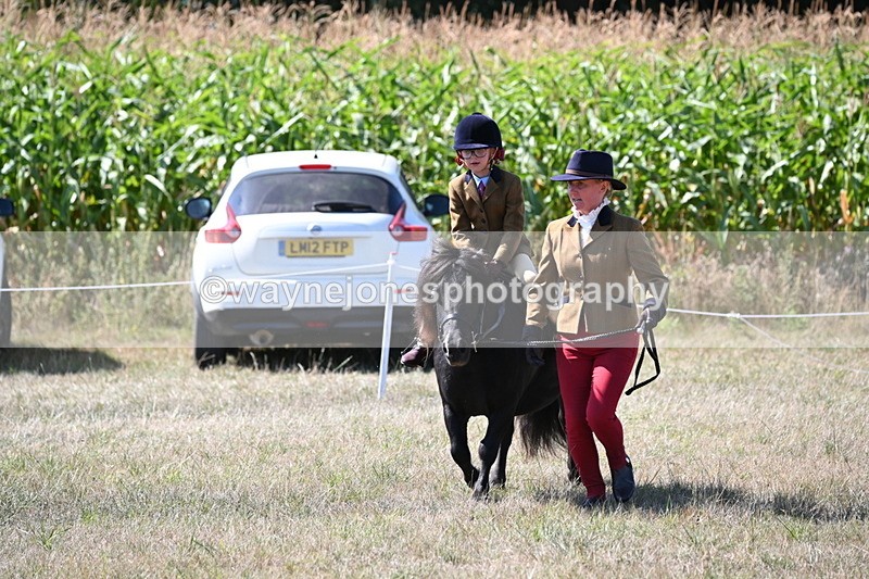 WJ6_8102 - Class 36 Lead Rein