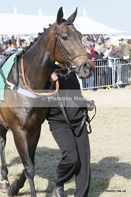  GRD 030510 90 - Guernsey Race Day 03/05/10