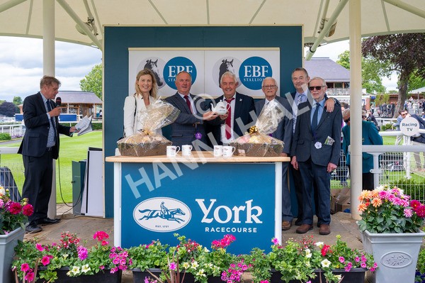 310525-Race 2-Tadej-7750 - Race 2 2.05pm Irish Thoroughbred Marketing EBF Restricted Novice Stakes