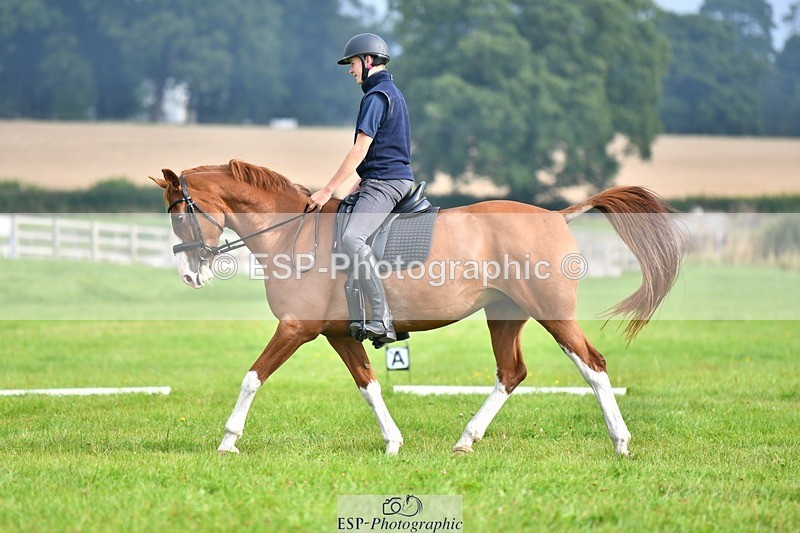 230817-091432-02507 - Abbie's 1st Group - Dressage