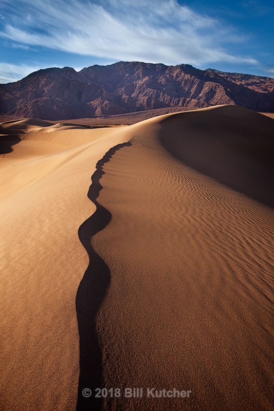Mesquite Dune - Current Show
