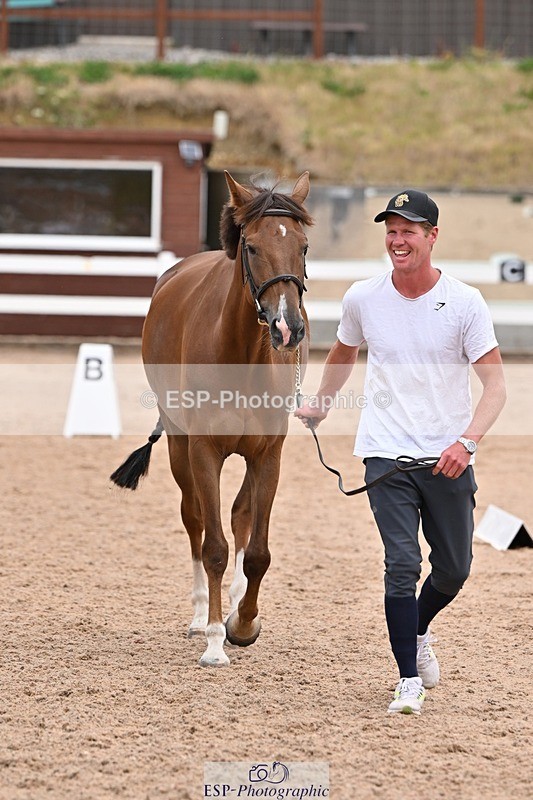 250716-143230-01183 - Trot Up 2.30 to 3.30