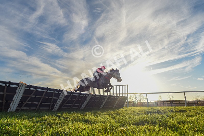 161225-Race 5-Somebodycomegether-7716 - Race 5