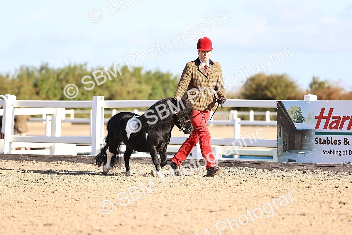 SBM_08405 - Class 402 - IH Veteran Pony