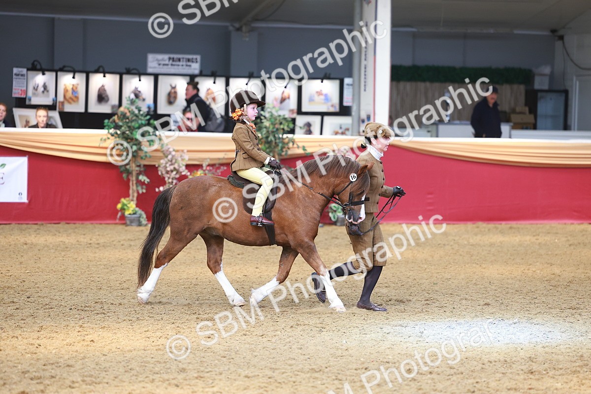 SBM_12610 - Class 103 - HOYS Veteran Qualifier - Ridden Pre Vet