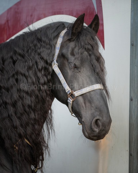 Troon Drive-3 - Troon Easter Monday Drive 2026
