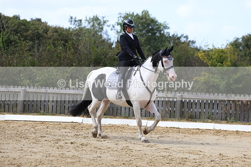 3E7A4054 - Class 9: Novice 6 Section B Championship