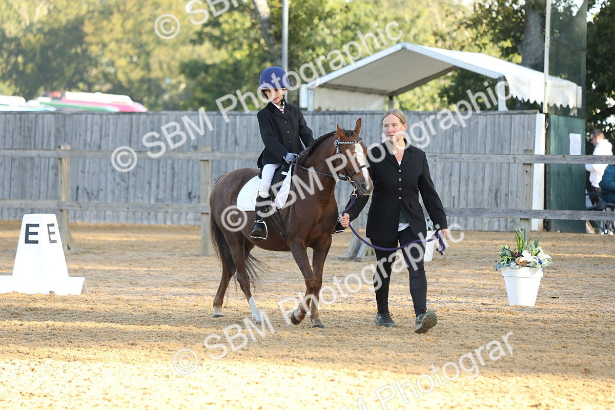 SBM_33640 - D26 - Starers - Lead Rein