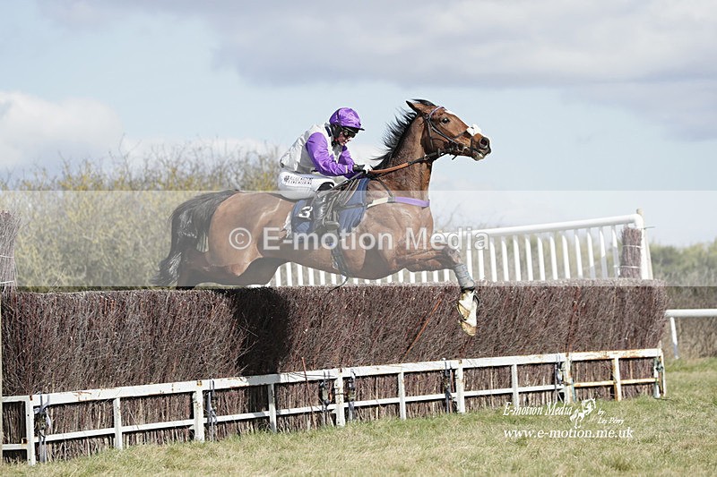 PtP 260223 462 - South & West Wilts Point-to-Point Larkhill 26/02/23