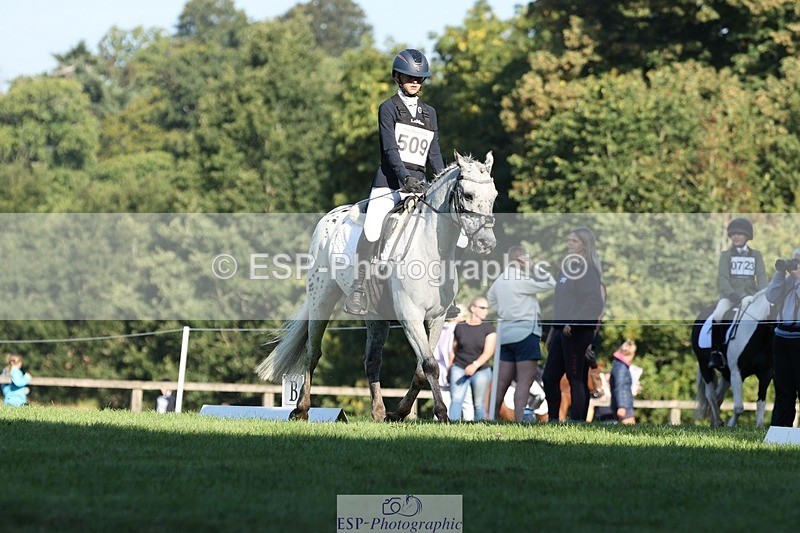 250823A-090415-25843 - Arena D