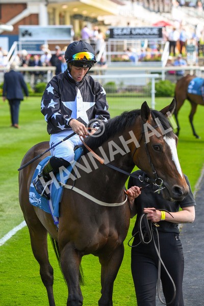 160623-Race 3-Radio Goo Goo-0369 - Race 3 3.00pm British EBF Supporting Racing With Pride Fillies' Handicap