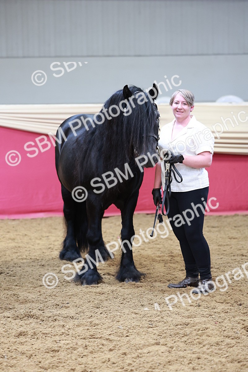 SBM_17528 - Class 951 - M&M IH Supreme Final