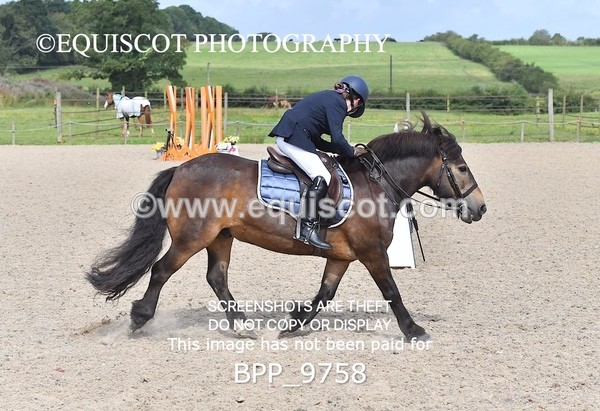 BPP_9758 - CLASS 2 Derby Show Jumping 30CM