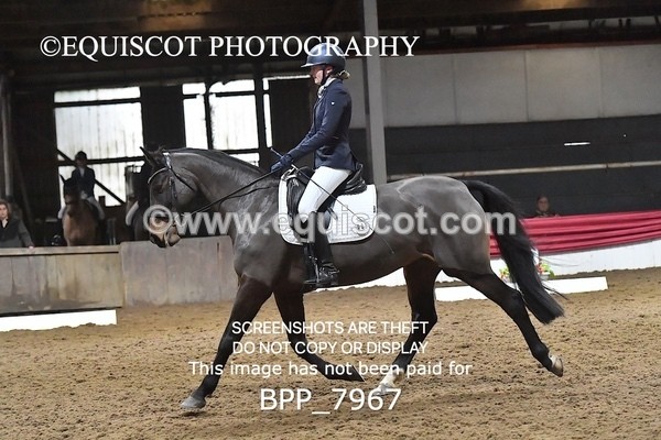 BPP_7967 - ELEM TEST 6