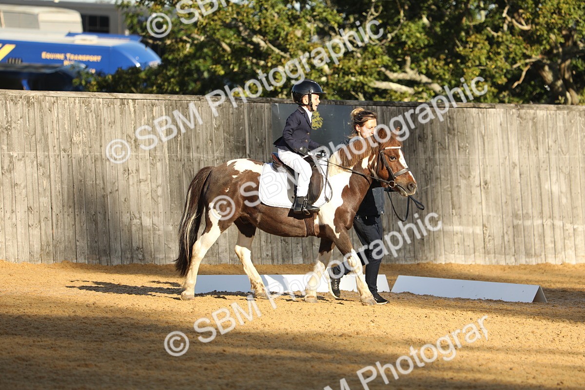 SBM_33689 - D26 - Starers - Lead Rein