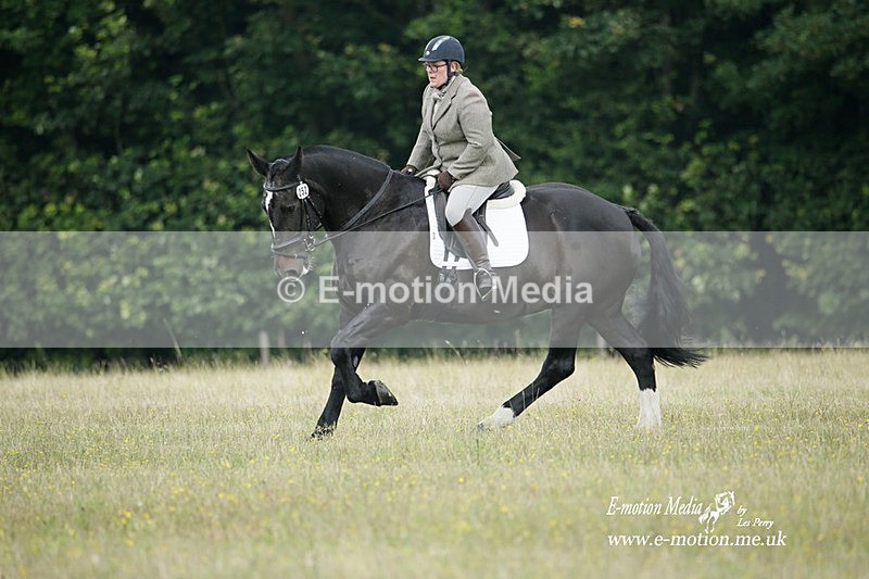 BVRC 030721 39 - Bourne Valley Riding Club Dressage 03/07/21