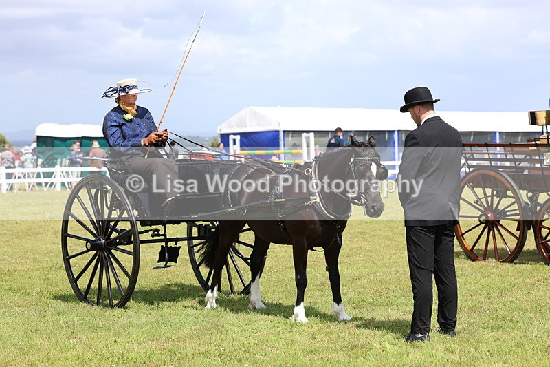 3E7A2762 - Class 12: Open Driving