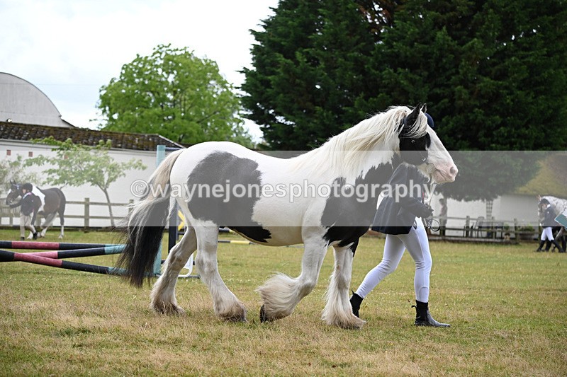 WJ6_8683 - Class 10 Coloured in-hand