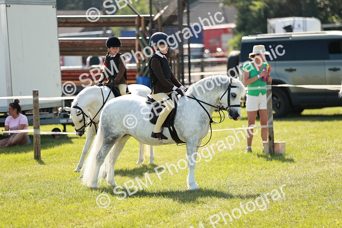 SBM_12673 - Class 106-107 - BSPS LIHS Working Sports Pony
