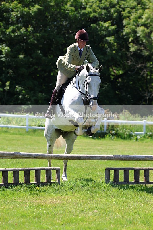 3E7A6901 - Class 30: Novice Working Hunter