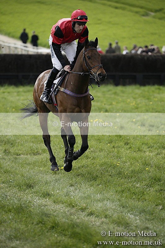 PtP 170417 408 - Old Berks Point-to-Point Lockinge 17/04/17
