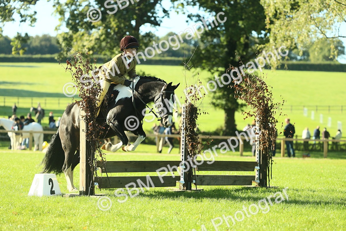 SBM_36399 - S29 - Novice & Newcomers Working Hunter Pony