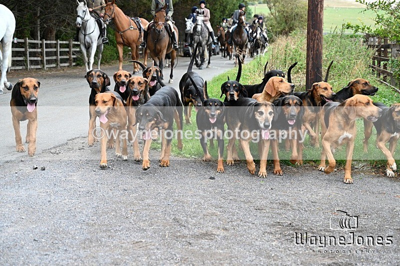 WJ7_1243 - Berks & Bucks Hound Exercise Blewbury 13-09-26