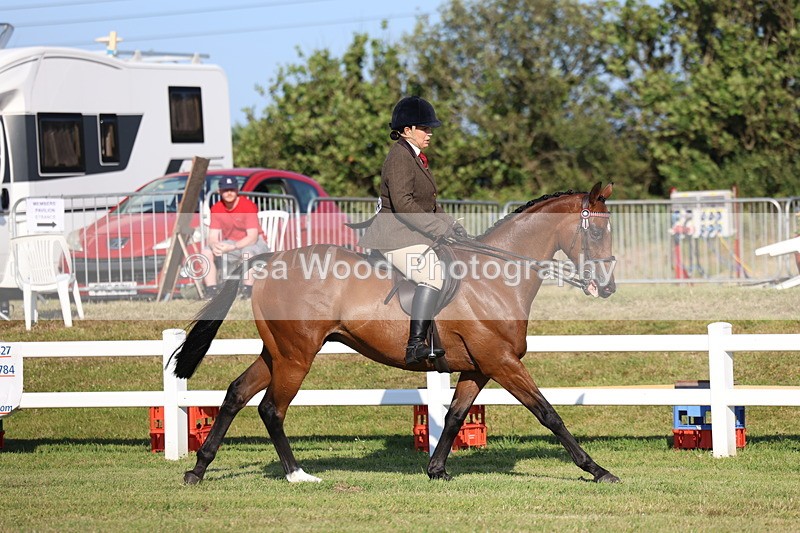 3E7A4971 - Class 1: Rising Star Small Hack/Riding Horses