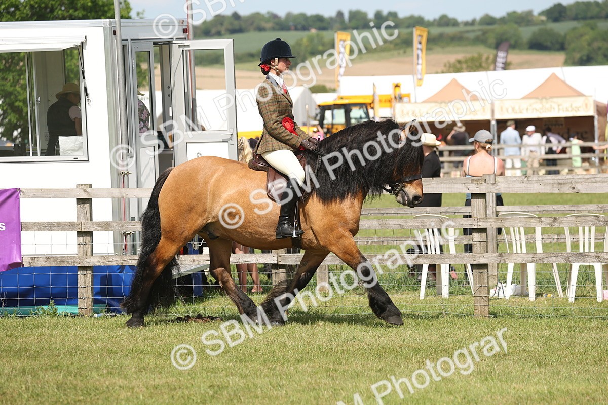 SBM_07669 - Class 26-30 - Mountain and Moorland Ridden