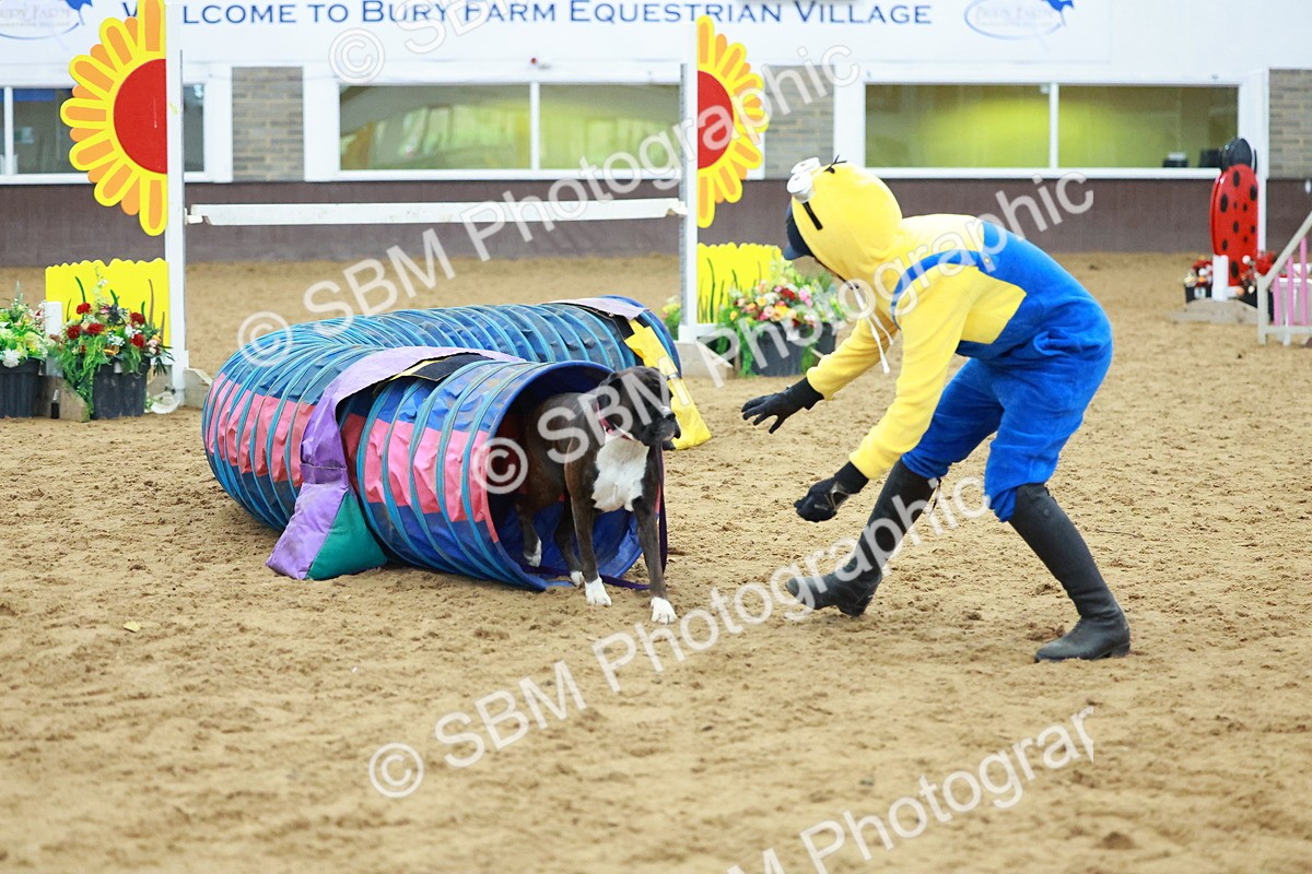 SBM_002245 - Class 3 - Horse & Hound (60cm)