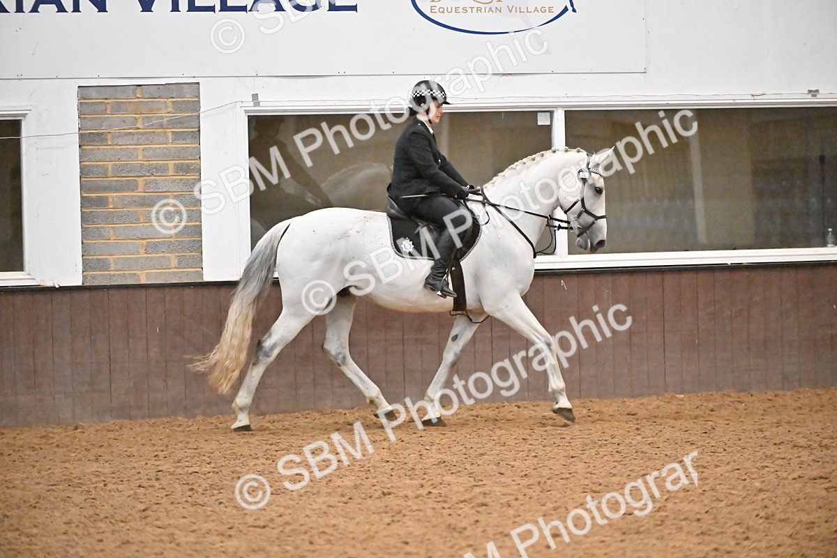 SBM_002987 - Class 37,38 - UKPSAF Performance Horse & Pony