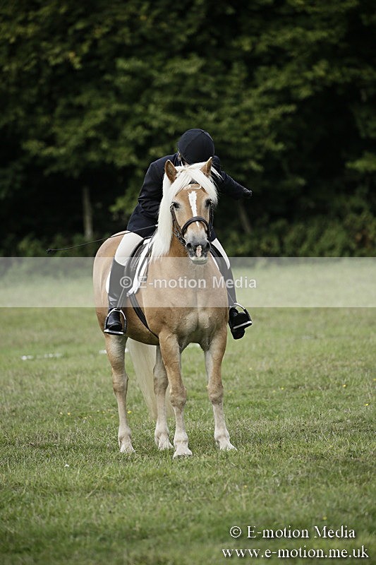 BVR090918 68 - BVRC Dressage and Show Jumping 09/09/18