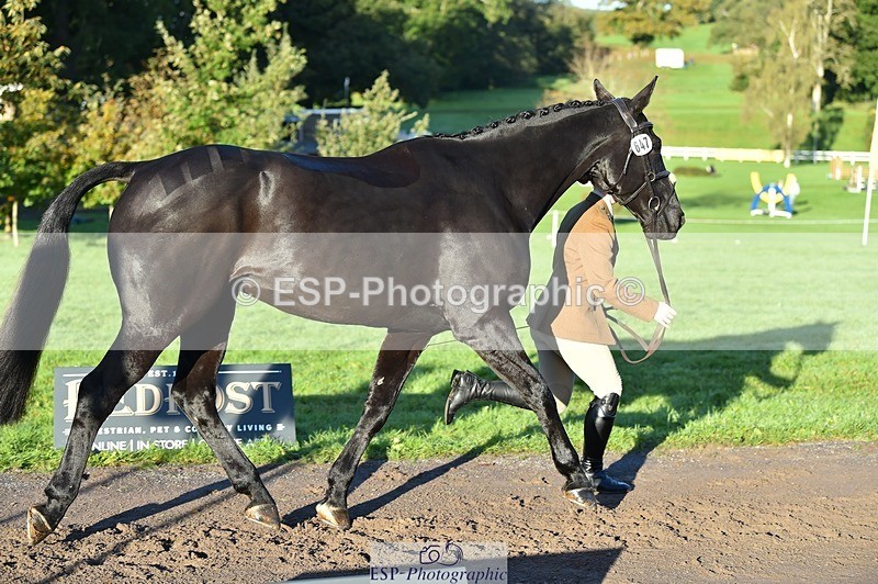 231022-091602-21657 - 647-HAPPY.BIATS-Lucy.Wisher-TrotUp+SJ