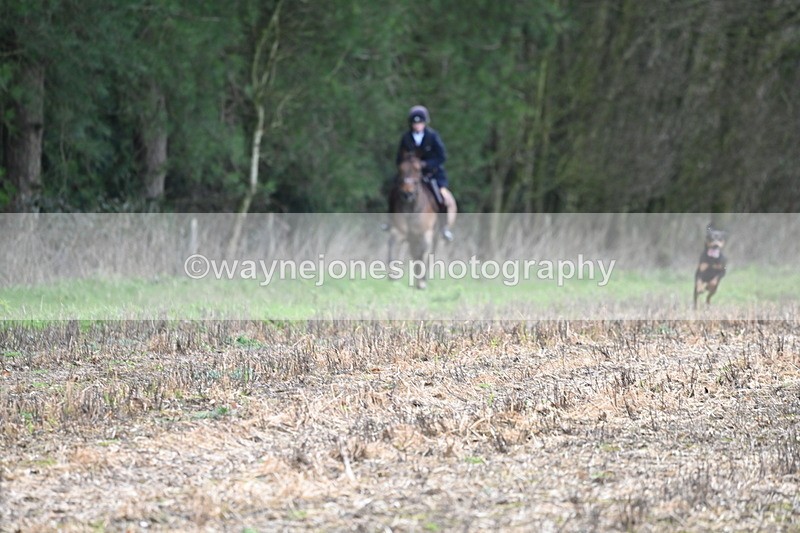 WJ6_9498 - Line Four