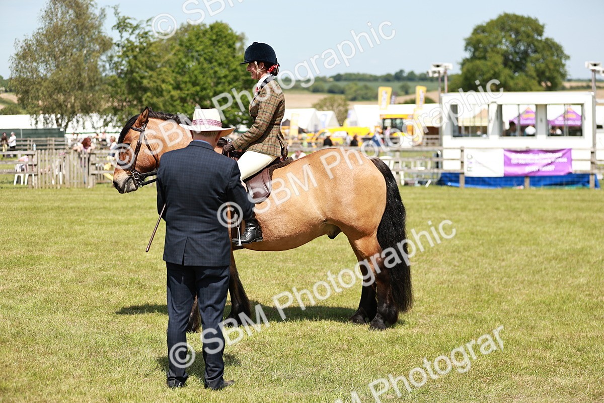 SBM_07095 - Class 26-30 - Mountain and Moorland Ridden