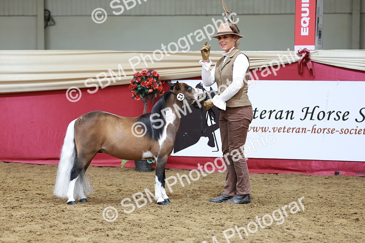 SBM_15734 - Class 110 - IH  Minature Horse
