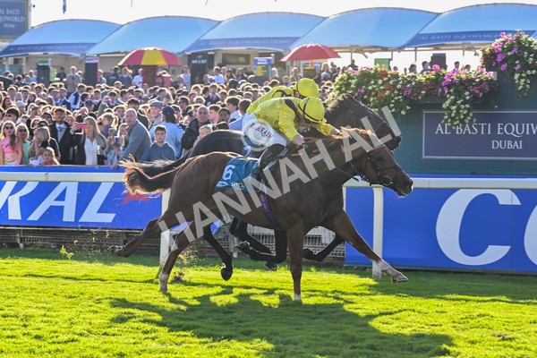 111025-Race 5-Morshdi-8920 - Race 5 Coral 'We're Here For It' EBF Maiden Stakes at York