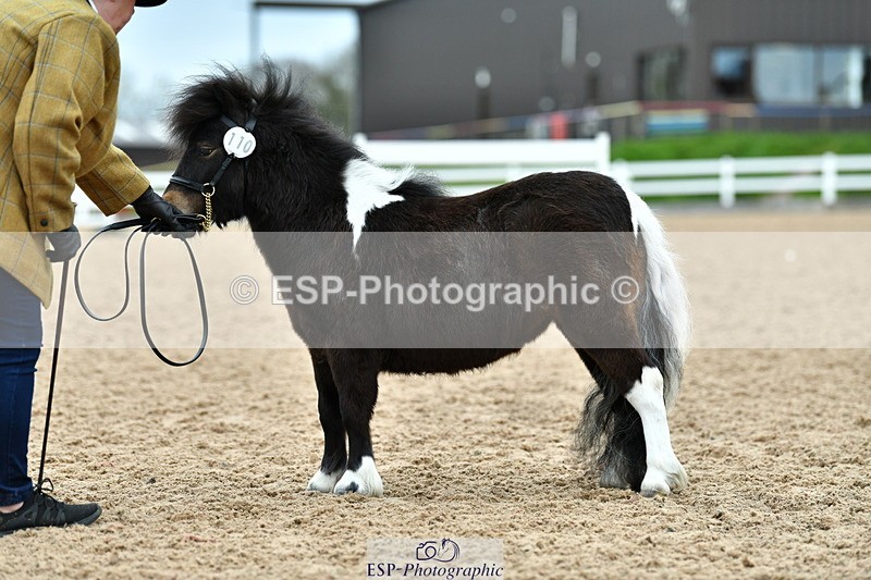 230416A-104455-03542 - Cls 33 InHand Youngster
