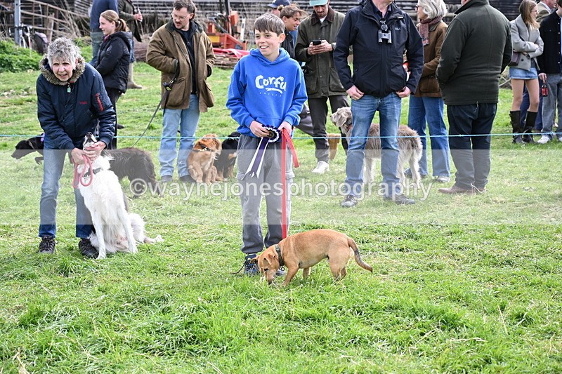 WJ6_8630 - Class 6 Best Rescue