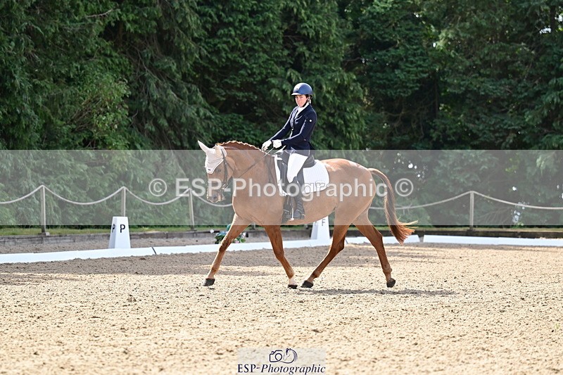 260802A-103512-05529 - Novice Silver break - break